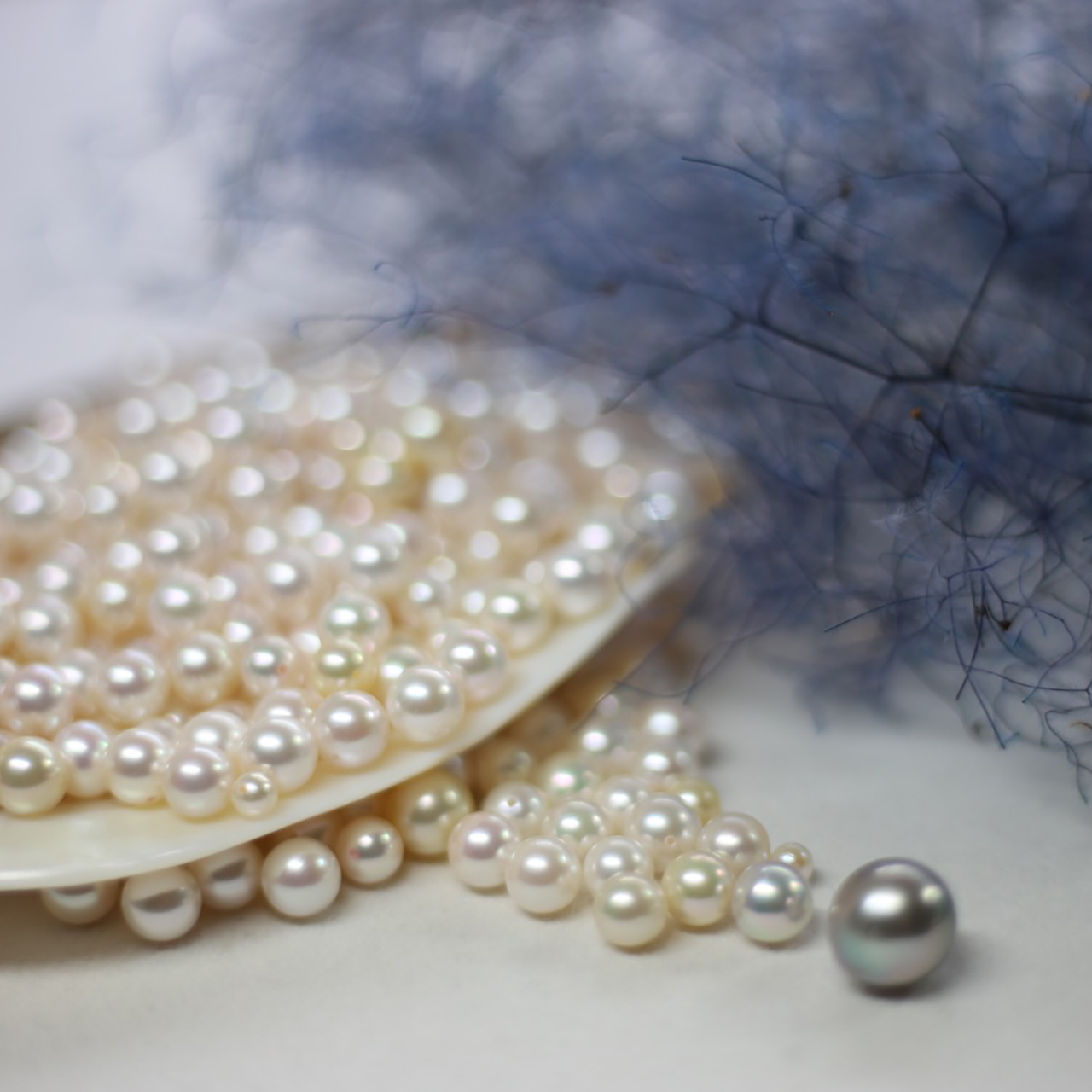 本真珠 パールジュエリーブランド Fritz Fritz フリッツ は 本真珠の仕入れ 加工 卸売販売会社を母体とした 本真珠 アクセサリーブランドです 自社仕入れとなっておりますので 高品質 お求めやすい価格には自信があります ネックレス ピアス リングなど