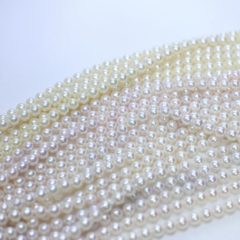 秋ですね。。。