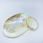 わんちゃんのアクセサリー