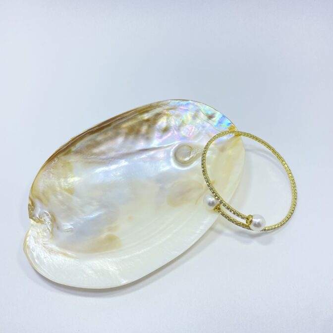 わんちゃんのアクセサリー