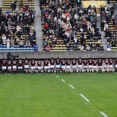 スポーツ観戦日和！