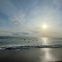 新年度始まり、暖かくなりました☀