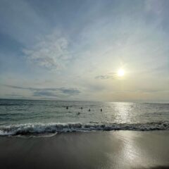 新年度始まり、暖かくなりました☀